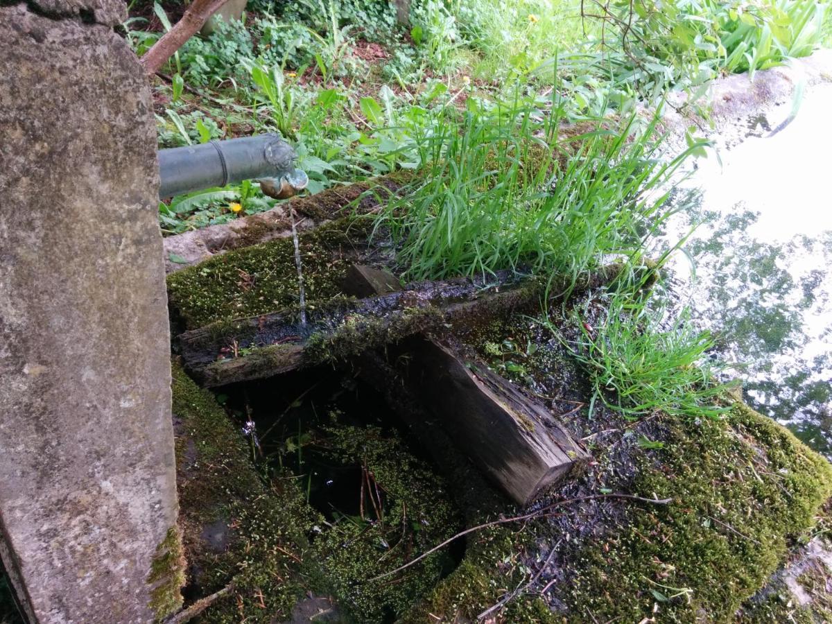 Ferme Des Deux Freres, Autrans, Vercors Exteriör bild