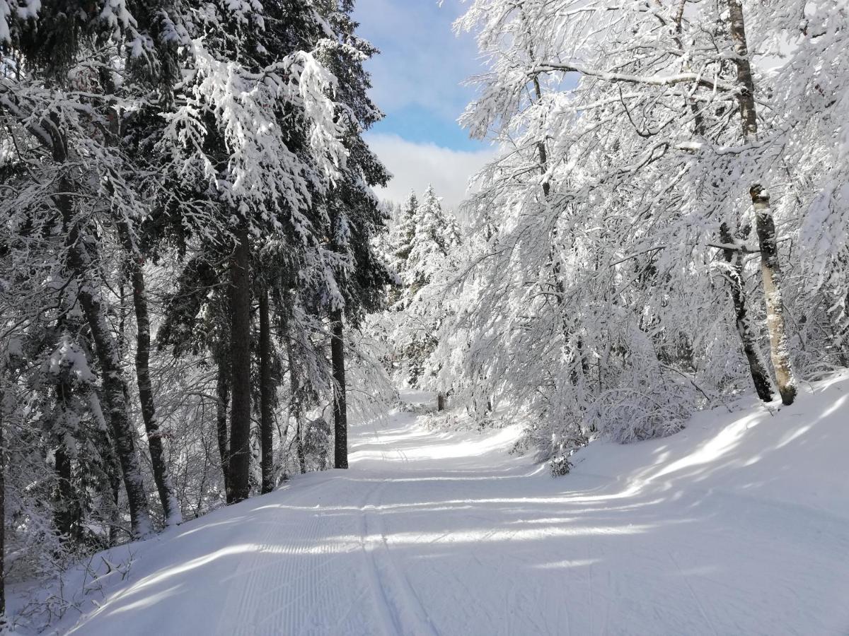 Ferme Des Deux Freres, Autrans, Vercors Exteriör bild