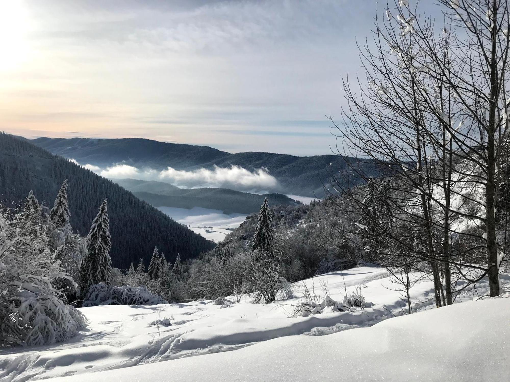 Ferme Des Deux Freres, Autrans, Vercors Exteriör bild
