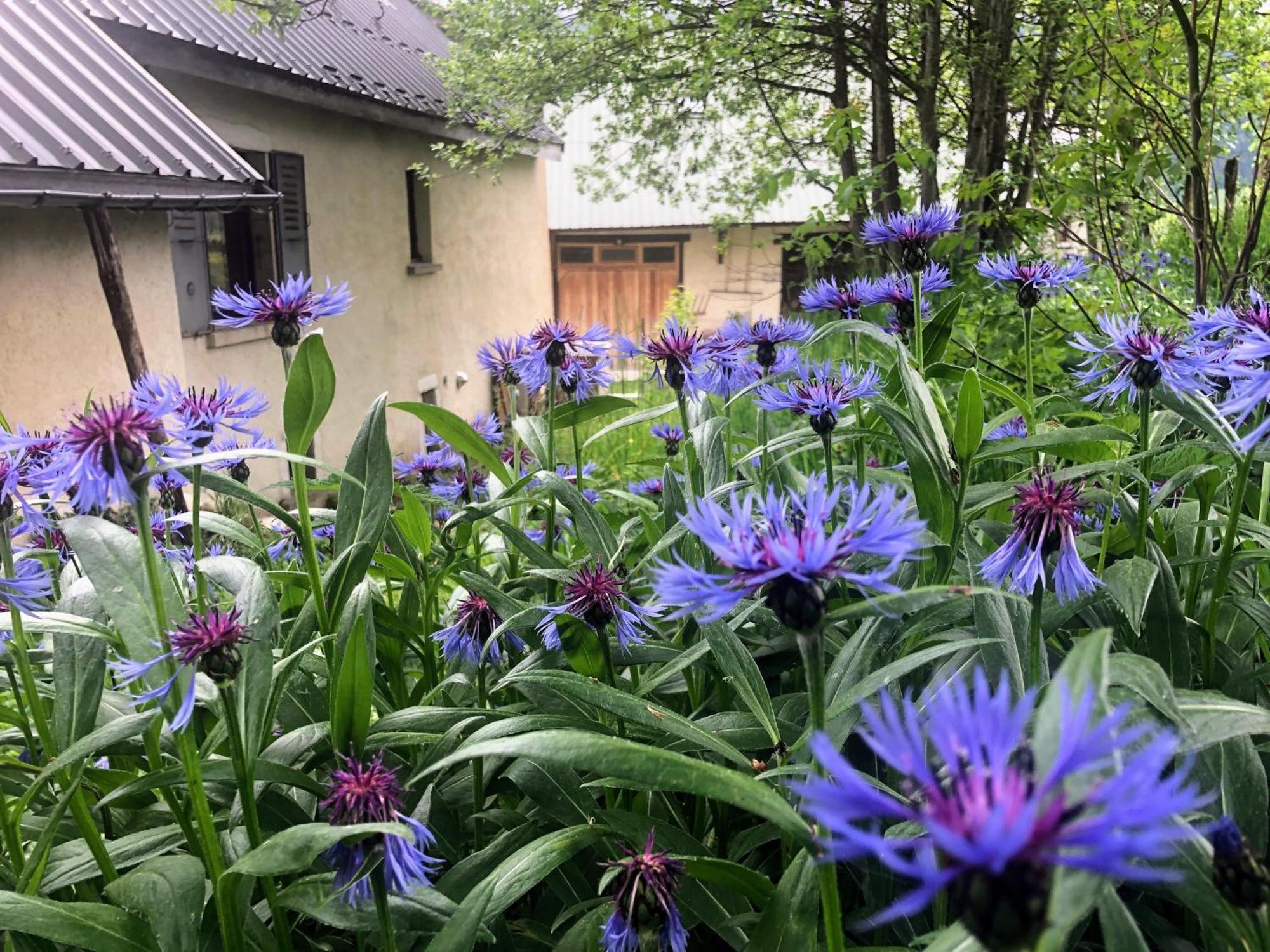 Ferme Des Deux Freres, Autrans, Vercors Exteriör bild